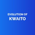 Evolution of kwaito