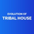 Evolution of tribal house