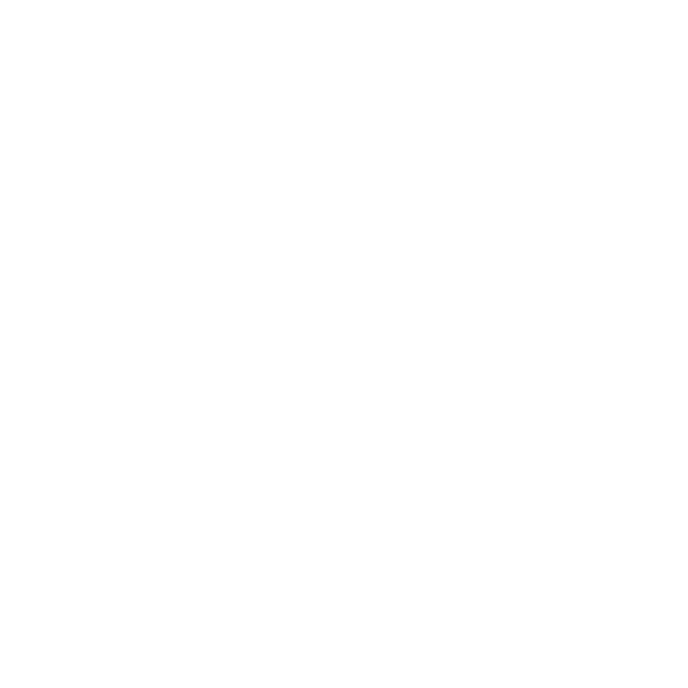 Rac alumni cirque